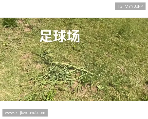 足球场上的神奇失误 让你捧腹大笑的那些瞬间